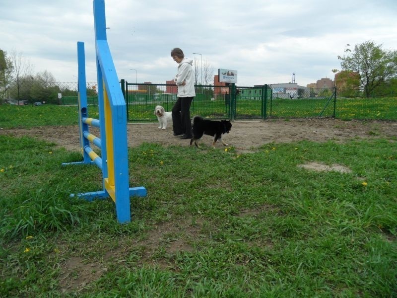 Pszczyna: Park dla psów przy ul. Bielskiej. Byliście już ze swoimi czworonogami?