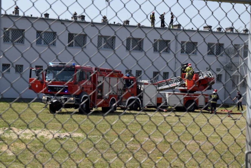 Ćwiczenia specjalistyczne w Zakładzie Karnym w Gębarzewie