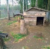 Dąbrowa Górnicza: Mini zoo jest już historią. A co na to miasto? [SONDA]