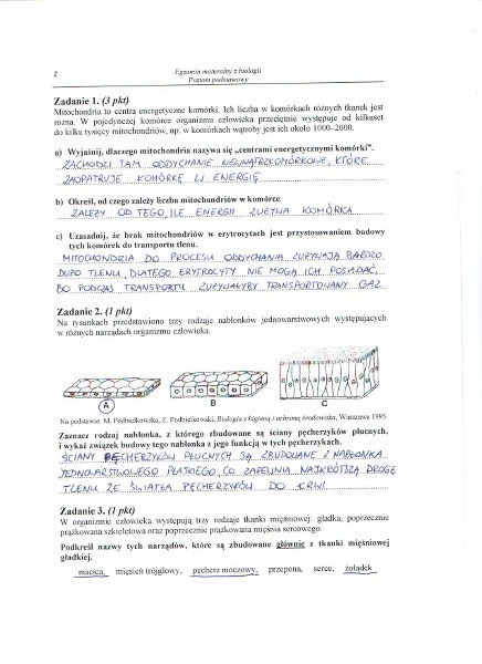 Matura 2013. Biologia - poziom podstawowy [ARKUSZE, ODPOWIEDZI]