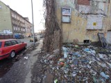 Jedno z najbardziej zaśmieconych miejsc w Legnicy. Budynek przy ulicy Prusa i teren wokół niego to skandal! [ZDJĘCIA CZYTELNIKA] 