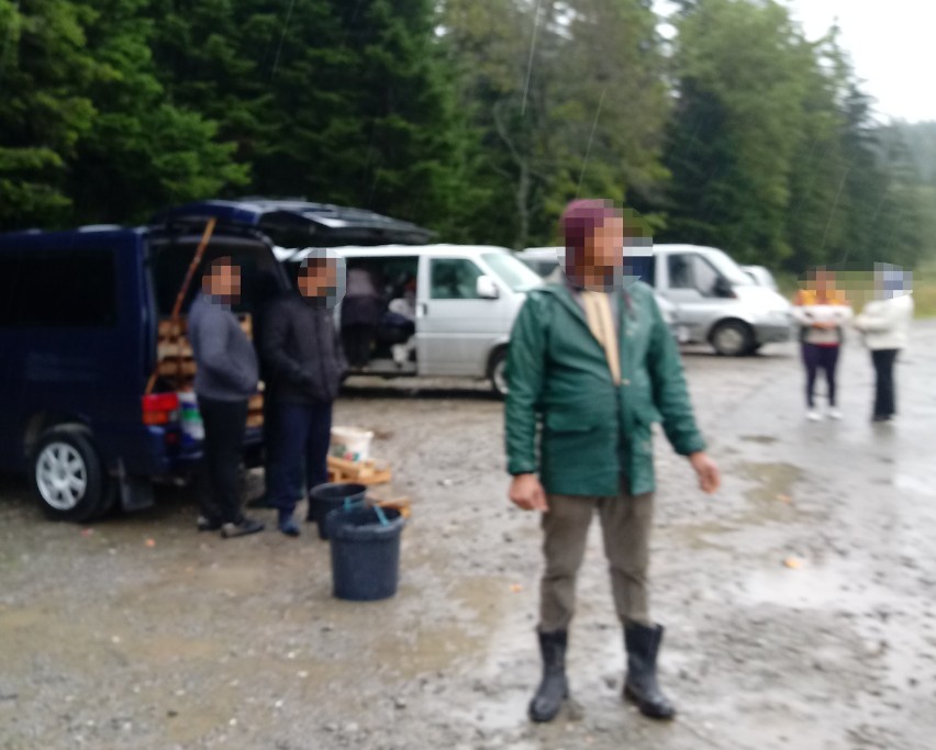 Rumuni masowo zbierają grzyby w lasach w okolicach Dukli i Rymanowa. Leśnicy zawiadomili sanepid, policję i prokuraturę