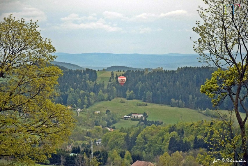 Festiwal balonowy w Sokolcu (ZDJĘCIA)         