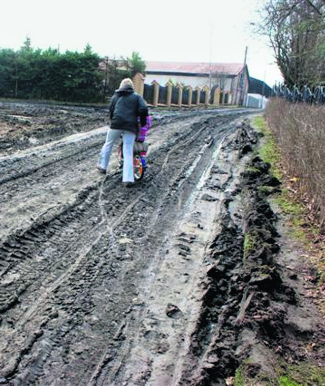 Drogi na Zajezierzu bardziej przypominają leśne dukty