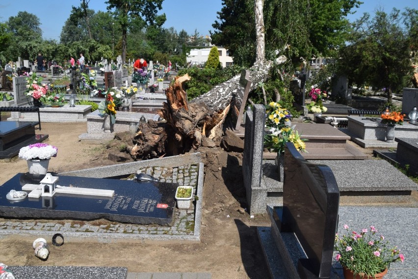 Zniszczone groby na cmentarzu na Witkowskiej. Nawałnica połamała drzewa [FOTO]