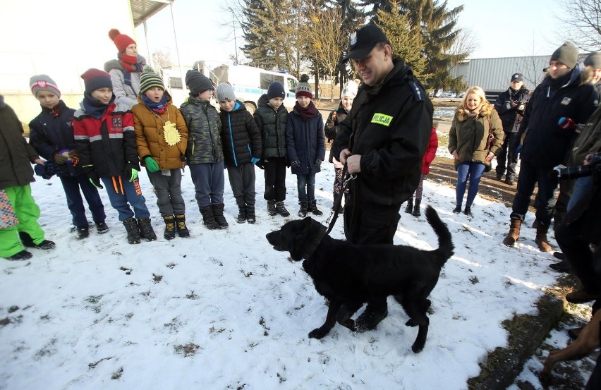 Przepracował w policji 10 lat. Policyjny pies Brutus przechodzi na zasłużoną emeryturę 