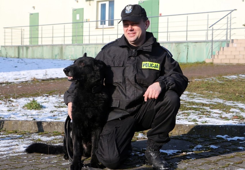 Przepracował w policji 10 lat. Policyjny pies Brutus przechodzi na zasłużoną emeryturę 