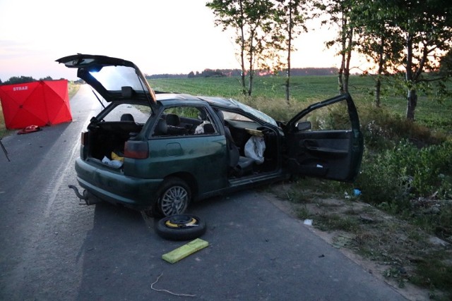 Sprawca wypadku usłyszał już zarzuty i najbliższe trzy miesiące spędzi w areszcie. Grozi mu nawet 12 lat więzienia.