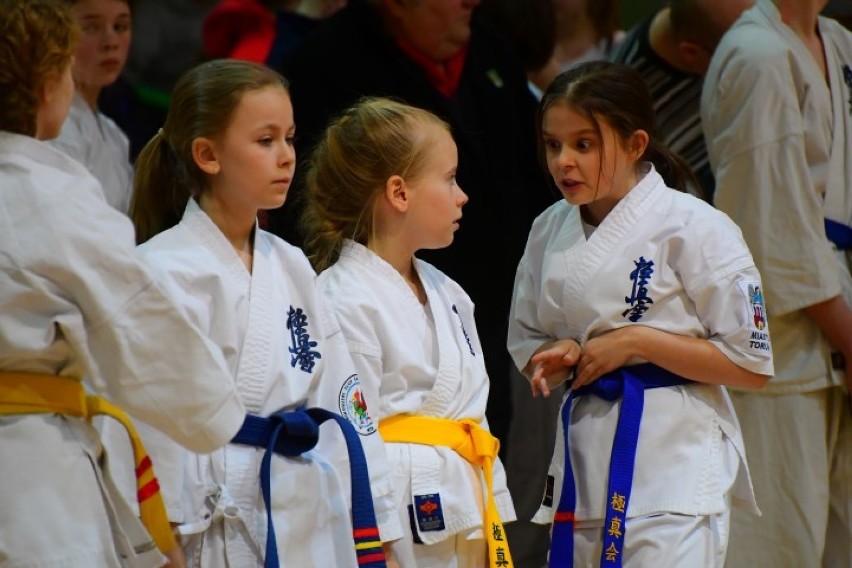Karatecy pokazali swoje umiejętności w Kościerzynie [GALERIA ZDJĘĆ,  AKTUALIZACJA]