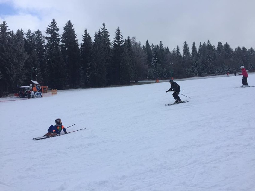 Zdjęcie pochodzi z fanpagu skionline.pl