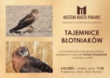 "Tajemnice błotniaków" - spotkanie przyrodnicze w pabianickim muzeum