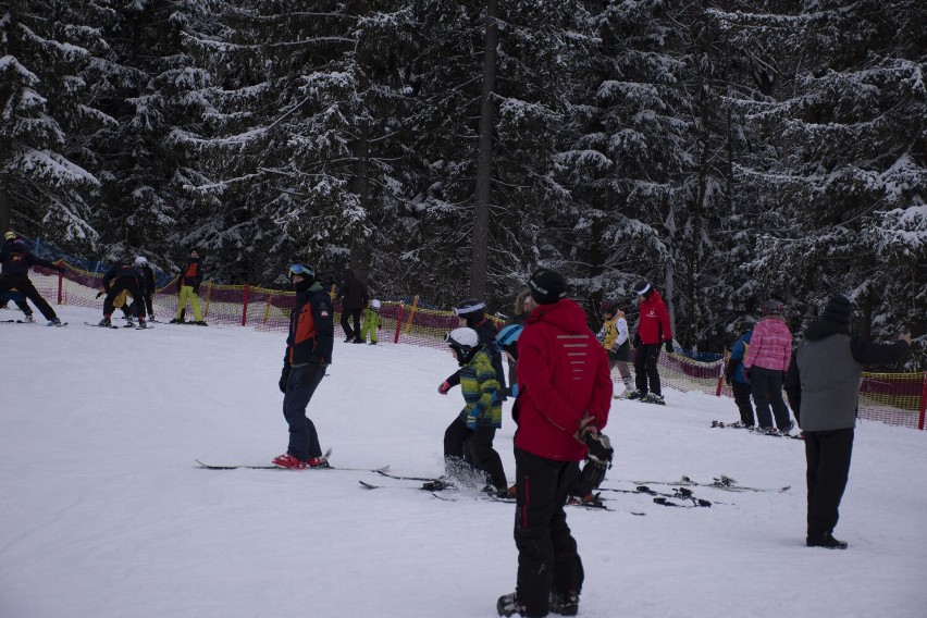 Pierwszy weekend ferii w Czarna Góra Resort. Stoki odwiedziło mnóstwo narciarzy. Zobacz zdjęcia! 