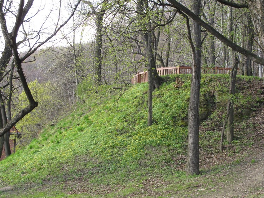 Park Sobieskiego w Wałbrzychu - urokliwe miejsce na wiosenny spacer. Zobaczcie zdjęcia