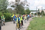 Blisko 100 rowerzystów wzięło udział w wągrowieckiej akcji pt. Odjazdowy Bibliotekarz. ZOBACZCIE ZDJĘCIA