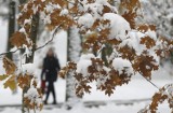 Pogoda w Łodzi i regionie na niedzielę, 4 grudnia
