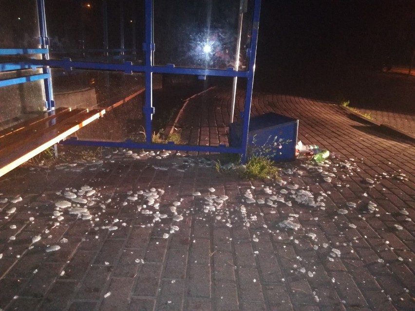 Kobieta zniszczyła wiatę przystankową koszem na śmieci przy ulicy Wienieckiej we Włocławku [zdjęcia]