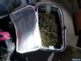 Diler w rękach policjantów. 900 porcji marihuany nie trafi na ulice