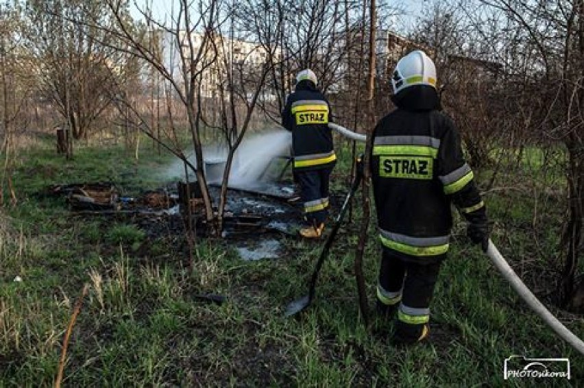 Pożar nieużytków w Koźminie