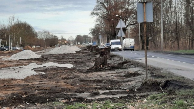 Władze Gorzowa szukają firmy, która chciałaby odkupić od miasta drewno z wycinki drzew przy ulicy Walczaka.