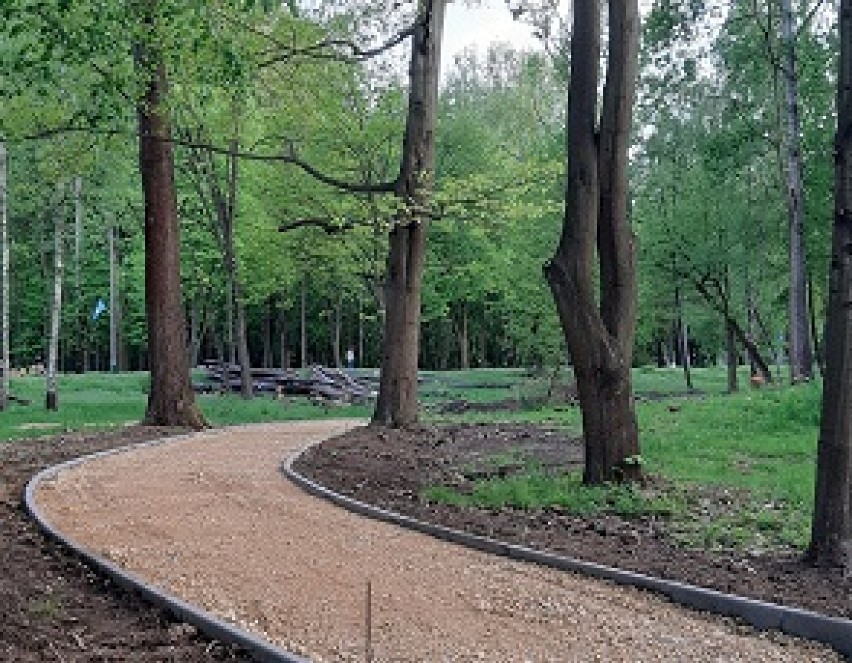 Park Pokoju w Oświęcimiu. Widać już pierwsze efekty prac prowadzonych na obszarze 7 hektarów [ZDJĘCIA]