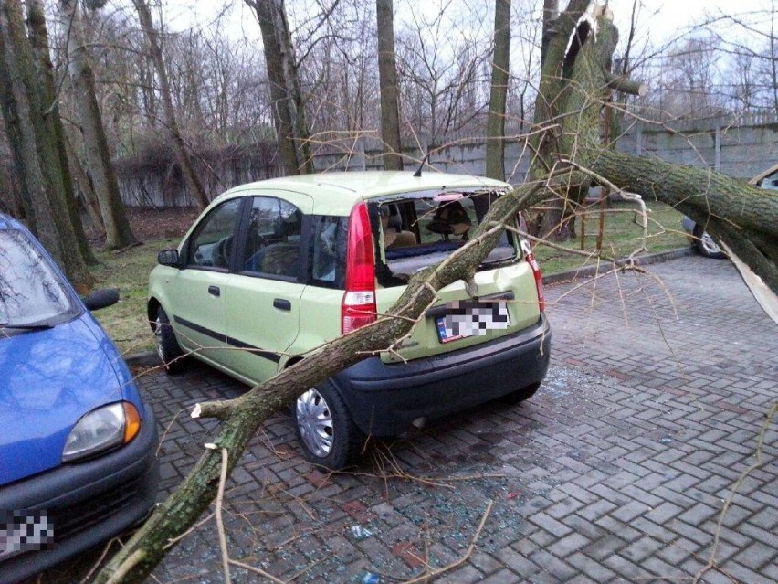 Wichura na Opolszczyźnie. Strażacy interweniowali blisko 160 razy 