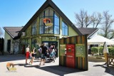 W opolskim zoo padł letni rekord frekwencji. 200 tysięcy odwiedzających