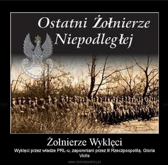 Żołnierze Wyklęci. Internauci pamiętają! [ZDJĘCIA, WIDEO]