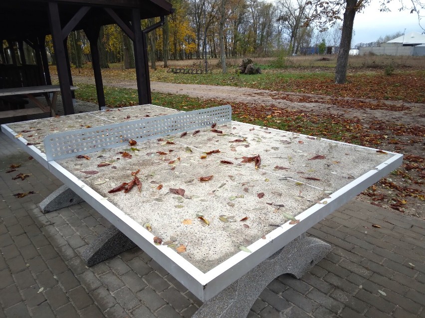 W parku zamontowano betonowy grill i stół do tenisa