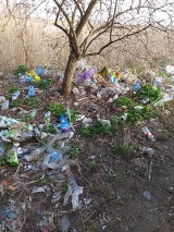 Gubin: Akcja śmieciowa lokalnego koła łowieckiego. Wędkarze sprzątali po bałaganiarzach (ZDJĘCIA)
