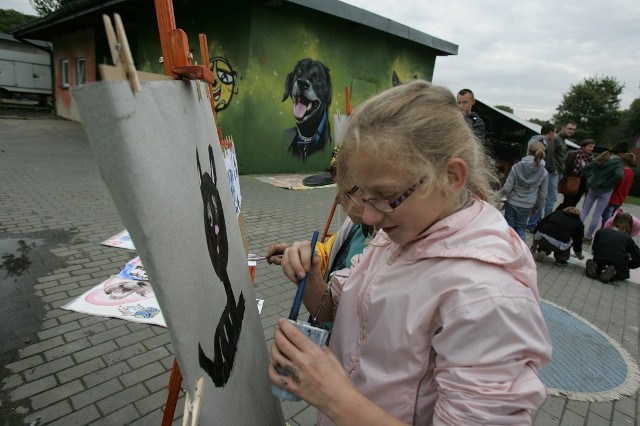 Mural w schronisku w Rudzie Śląskiej został odsłonięty w środę