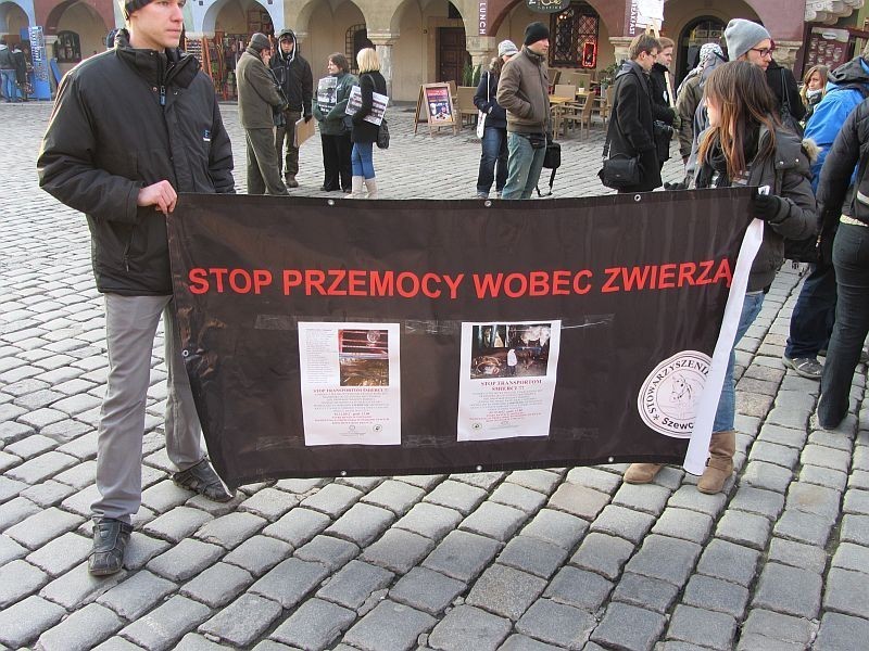 Manifestacja "STOP transportom śmierci" w Poznaniu
