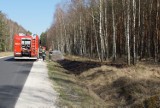 Apel leśników o ostrożność - zagrożenie pożarowe w Borach Tucholskich