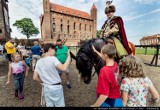 Pokaz historyczny na zamku w Gniewie [ZDJĘCIA] 