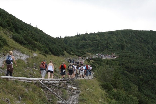 Według stowarzyszenia, wprowadzenie takiego rozwiązania zwiększyłoby zadowolenie turystów z pobytu w polskich górach.