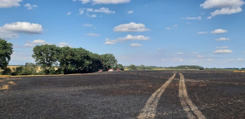 Gmina Skoki. Pożar zboża na pniu. Spłonęło nawet do 10 hektarów! 