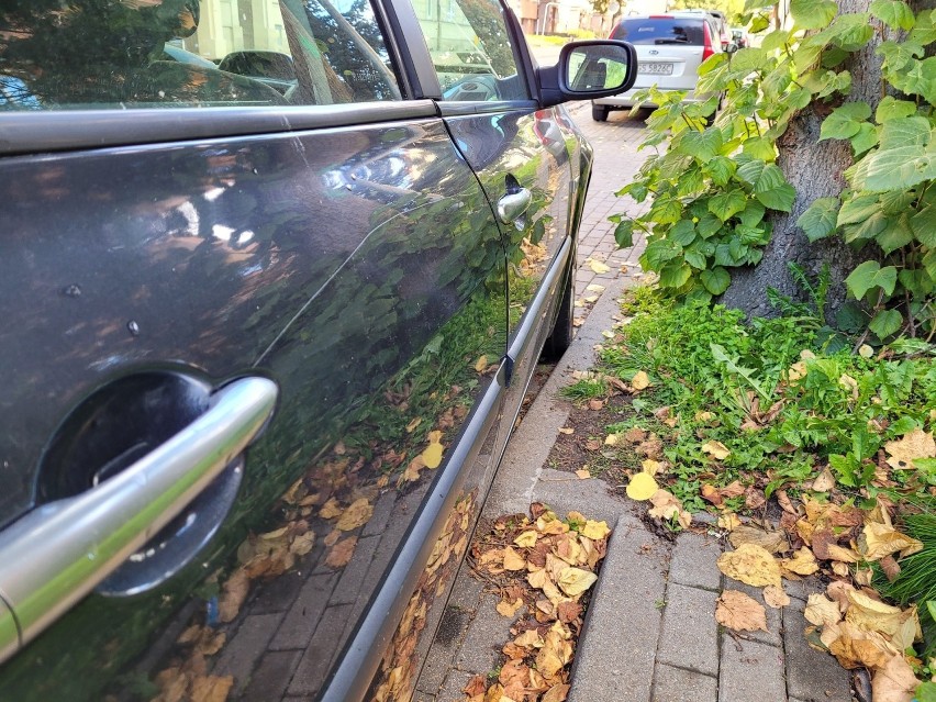 27 latek porysował auta na parkingu w Słupsku. Został zatrzymany przez policję