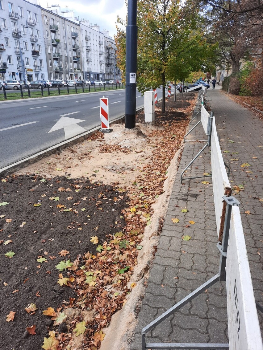 Więcej zieleni w trzech warszawskich dzielnicach. Władze stolicy zapowiadają ekologiczną transformację. Zmiany jeszcze w tym roku