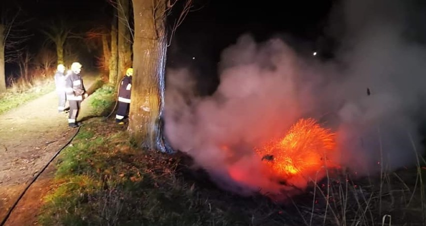 Powiat malborski. Raport KP PSP Malbork. Pożary traw i śmieci, akcja ratunkowa w elektrowni Rakowiec