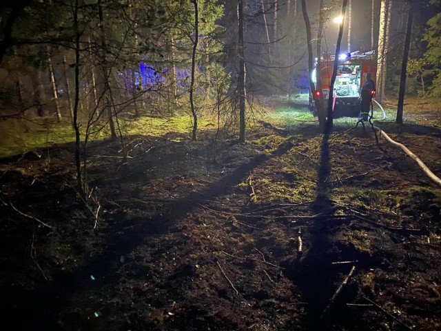 W okolicach miejscowości Tajenko w powiecie augustowskim paliły się trzy hektary lasu