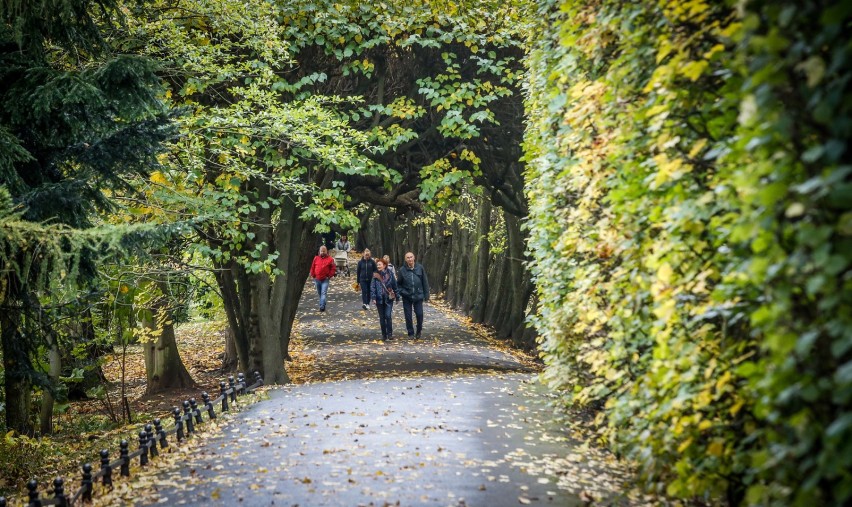 Wtorek ma być cieplejszy - temperatura może wynieść nawet 19...