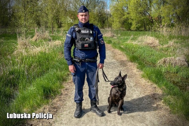 Owczarek Peri rozpoczął służbę w międzyrzeckiej policji pod okiem sierżanta Tomasza Leśniaka