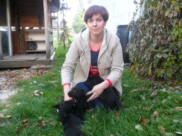 Porzucone psy w Szamocinie: Trzy szczeniaki czekają na nowy dom