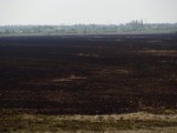 Ogromne zniszczenia po pożarze w Rezerwacie Bagno Serebryskie. Zdjęcia i film