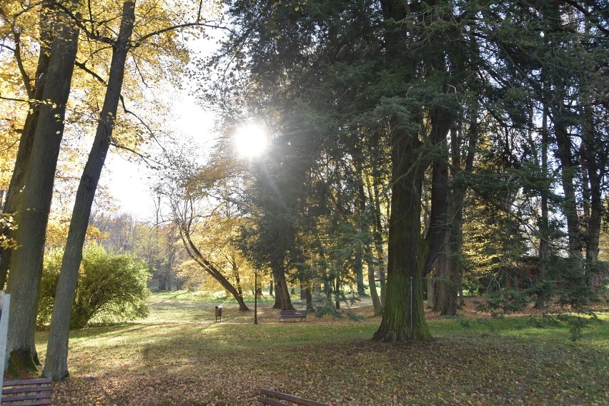 Park i dwór Ignacego Jana Paderewskiego w Kąśnej Dolnej k....