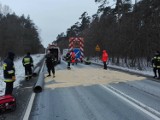 Ptasia Grypa Międzychód - część miejscowości gminy Międzychód jest w strefie zagrożonej