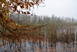 Jesień w powiecie człuchowskim. Zapraszamy do wysyłania zdjęć