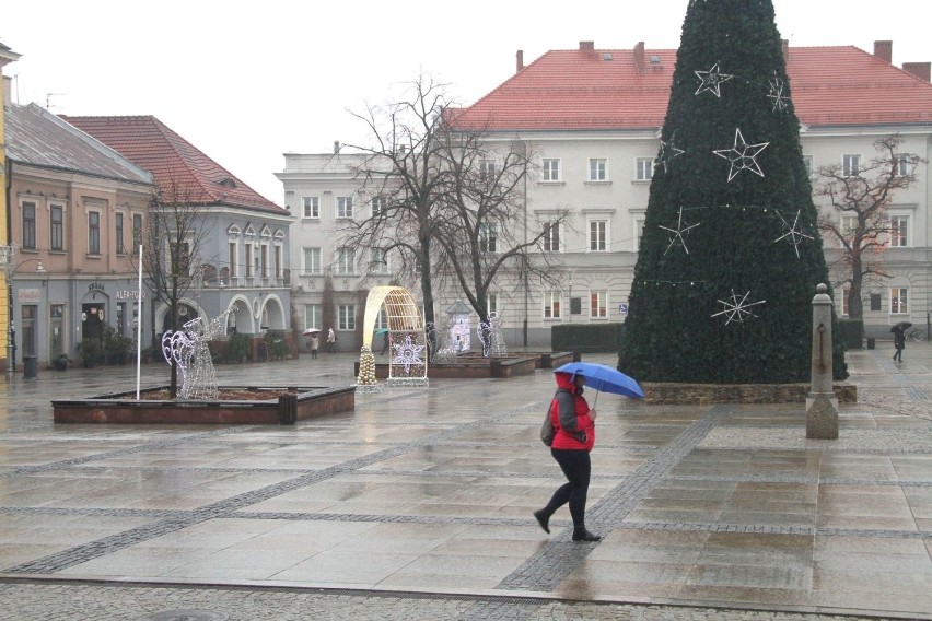 W czwartek prezydent Kielc wraz kielczanami odpali choinkę 