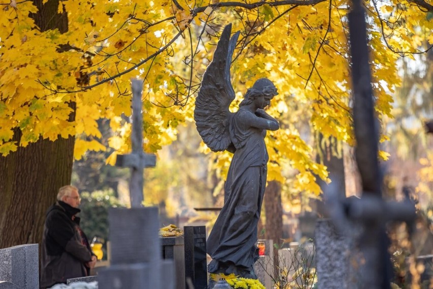 Jak znaleźć groby znanych osób na cmentarzach w Krakowie?...