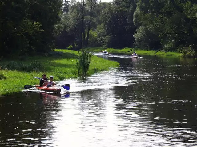 Rawka Rzeką Roku 2014 – w internetowym konkursie Rzeka Roku 2014 zwyciężyła Rawka, rzeka płynąca między innymi przez powiat skierniewicki. Konkurs polegał na tym, ze internauci oddawali swoje głosy na wybraną rzekę. Rawka uzyskała 7.403 głosy.
Na zdjęciu jeden z wielu spływów kajakowych rzeką Rawką.