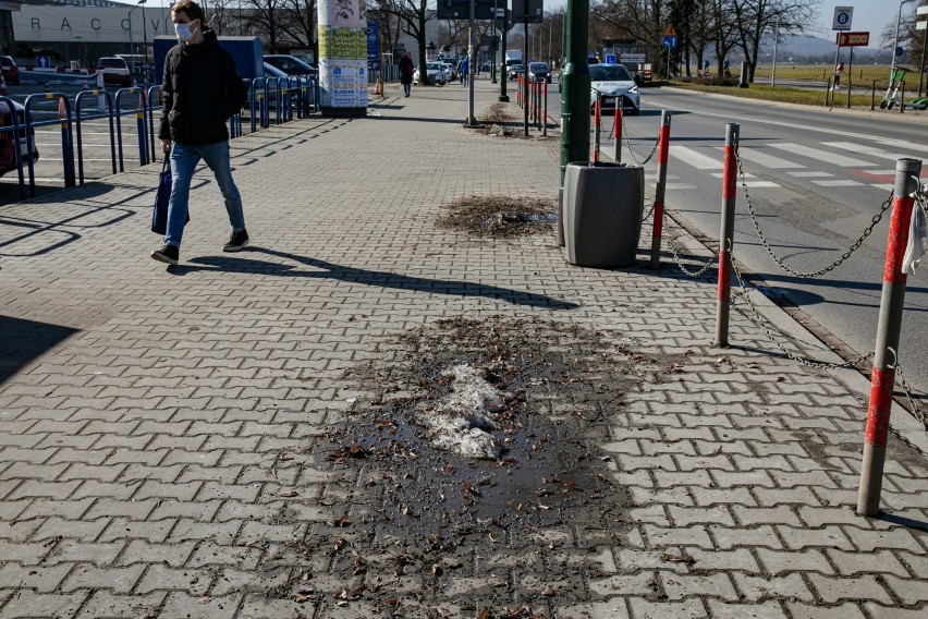 Na ulicach i chodnikach Krakowa zalega dużo brudu i pyłu.